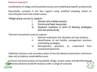Crop residue tradeoffs in crop-livestock systems: SLP project overview