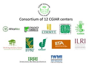 <ul><li>Consortium of 12 CGIAR centers </li></ul>