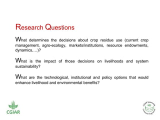 Crop residue tradeoffs in crop-livestock systems: SLP project overview