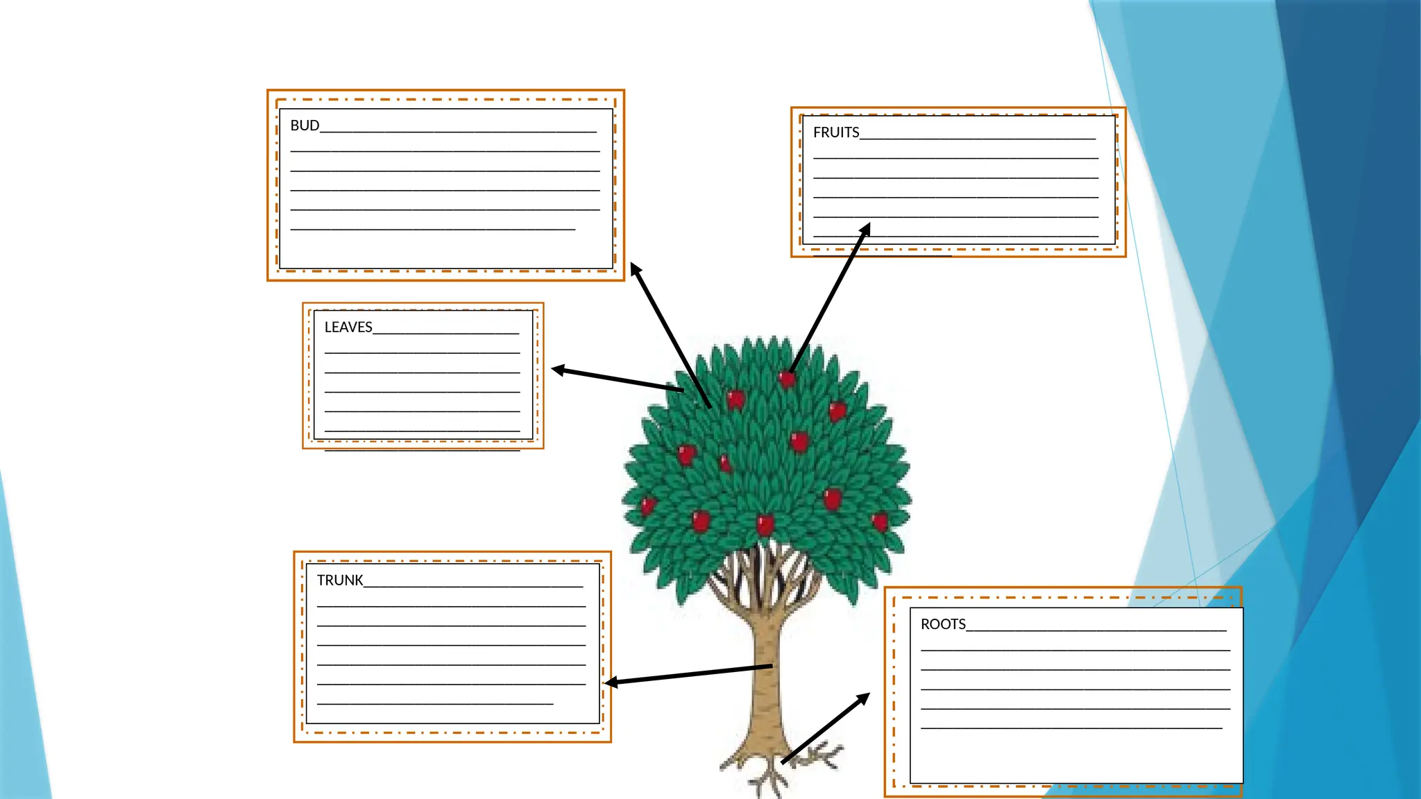 BUD__________________________________
______________________________________
______________________________________
______________________________________
______________________________________
___________________________________
FRUITS_____________________________
___________________________________
___________________________________
___________________________________
___________________________________
___________________________________
_________________
LEAVES__________________
________________________
________________________
________________________
________________________
________________________
________________________
TRUNK___________________________
_________________________________
_________________________________
_________________________________
_________________________________
_________________________________
_____________________________
ROOTS________________________________
______________________________________
______________________________________
______________________________________
______________________________________
_____________________________________
 