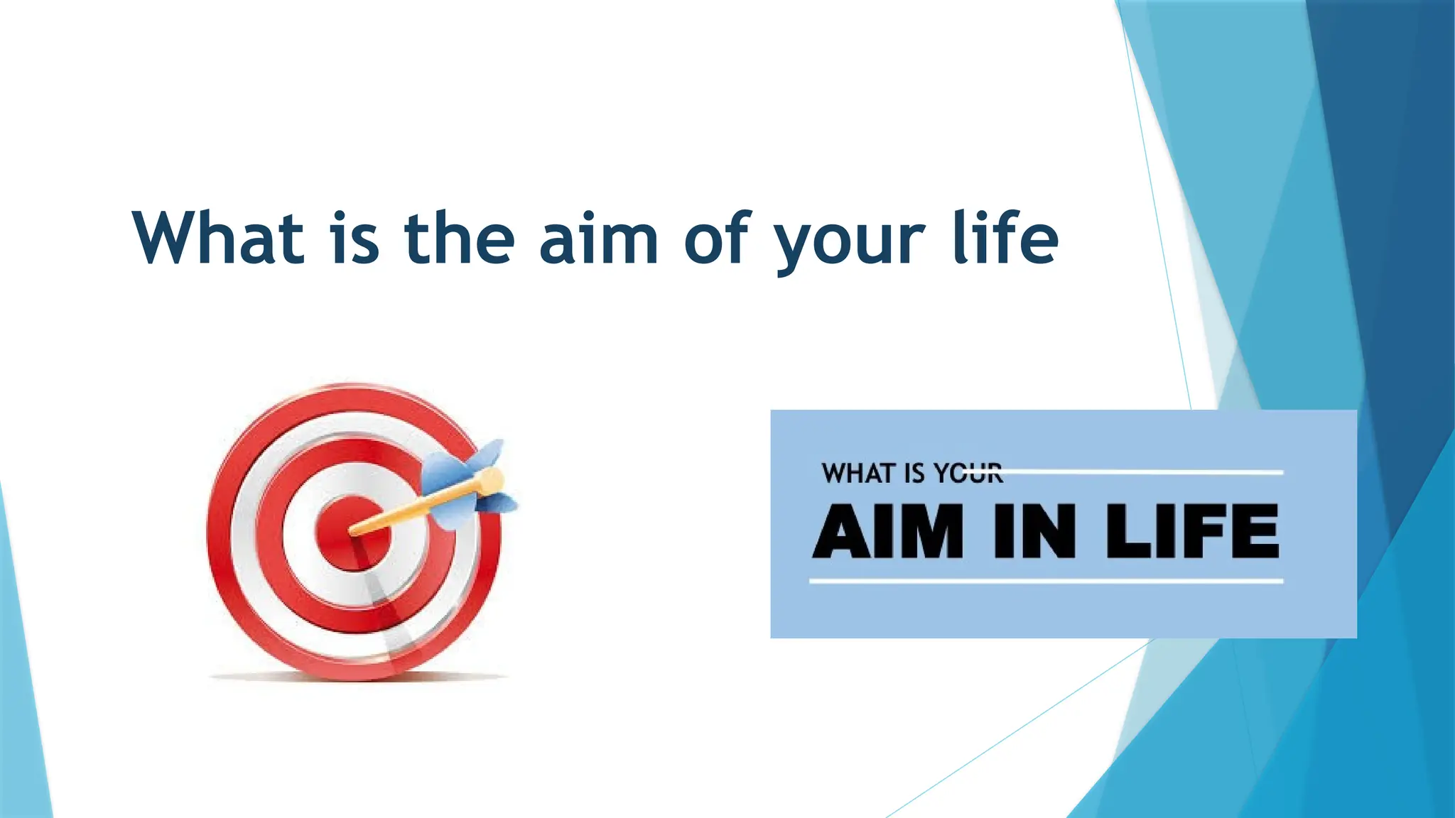 What is the aim of your life
 