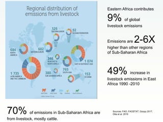 Overview of the livestock sector in East Africa