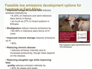 Overview of the livestock sector in East Africa