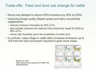 Overview of the livestock sector in East Africa