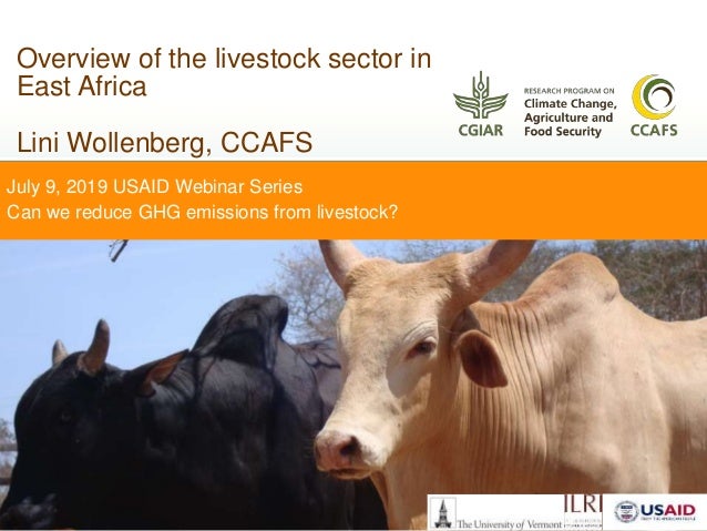Overview of the livestock sector in East Africa