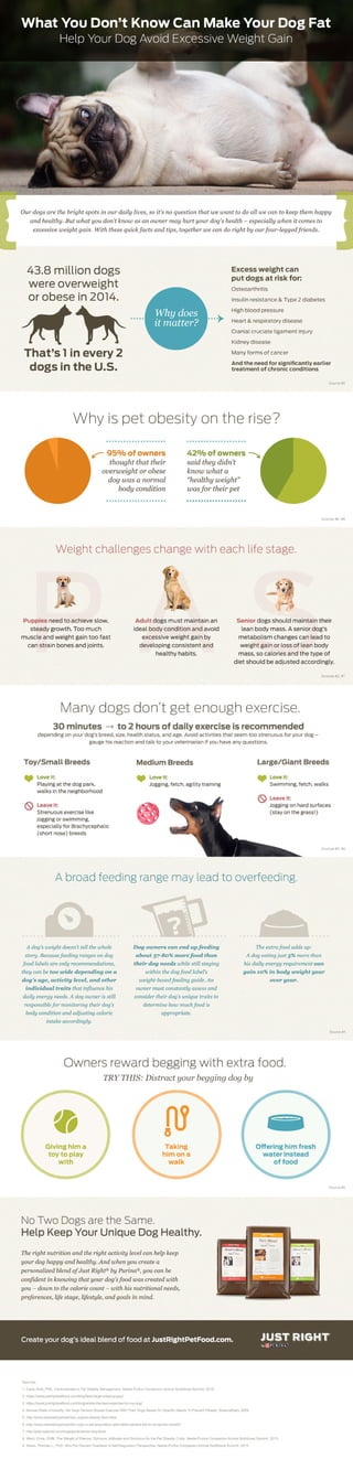 Are You Making Your Dog Fat?