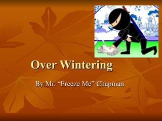 Over Wintering
By Mr. “Freeze Me” Chapman
 