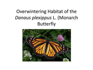 Overwintering Habitat of the
Danaus plexippus L. (Monarch
          Butterfly
 