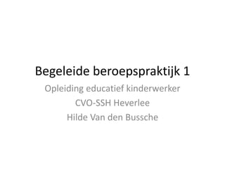Begeleide beroepspraktijk 1
Opleiding educatief kinderwerker
CVO-SSH Heverlee
Hilde Van den Bussche
 