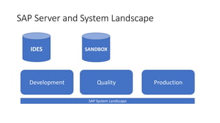 SAP Server and System Landscape
Development Quality Production
SAP System Landscape
IDES SANDBOX