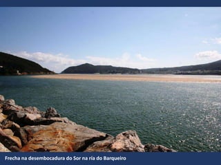 Frecha na desembocadura do Sor na ría do Barqueiro
 