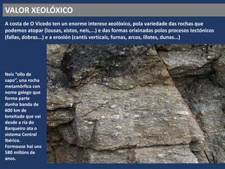 VALOR XEOLÓXICO
A costa de O Vicedo ten un enorme interese xeolóxico, pola variedade das rochas que
podemos atopar (lousas, xistos, neis,...) e das formas orixinadas polos procesos tectónicos
(fallas, dobras...) e a erosión (cantís verticais, furnas, arcos, illotes, dunas...)
Neis “ollo de
sapo”, una rocha
metamórfica con
nome galego que
forma parte
dunha banda de
600 km de
lonxitude que vai
desde a ría do
Barqueiro ata o
sistema Central
Ibérico.
Formouse hai uns
580 millóns de
anos.
 