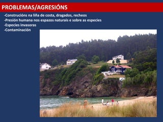 PROBLEMAS/AGRESIÓNS
-Construcións na liña de costa, dragados, recheos
-Presión humana nos espazos naturais e sobre as especies
-Especies invasoras
-Contaminación
 