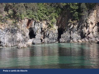 Praia e cantís de Alecrín
 