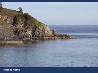 Punta de Alecrín
 