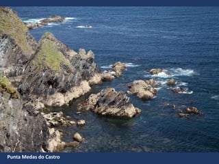 Punta Medas do Castro
 