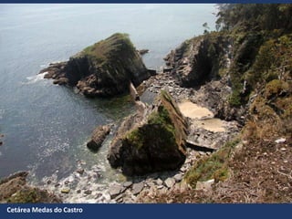 Cetárea Medas do Castro
 