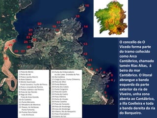 O concello de O
Vicedo forma parte
do tramo coñecido
como Arco
Cantábrico, chamado
tamén Rías Altas, á
beira do mar
Cantábrico. O litoral
abrangue a banda
esquerda da parte
exterior da ría de
Viveiro, unha zona
aberta ao Cantábrico,
a illa Coelleira e toda
a banda dereita da ría
do Barqueiro.
 