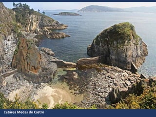 Cetárea Medas do Castro
 