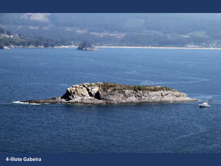 4-Illote Gabeira
 