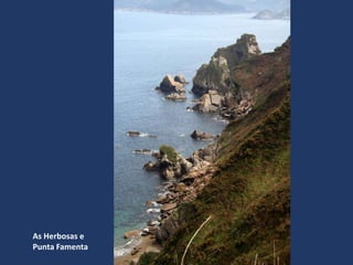 As Herbosas e
Punta Famenta
 
