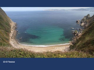 13-O Toxoso
 