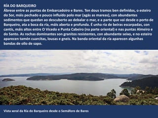 RÍA DO BARQUEIRO
Ábrese entre as puntas de Embarcadoiro e Bares. Ten dous tramos ben definidos, o esteiro
do Sor, máis pechado e pouco influído polo mar (agás as mareas), con abundantes
sedimentos que quedan ao descuberto ao debalar o mar, e a parte que vai desde o porto de
Barqueiro, ata a boca da ría, máis aberta e profunda. É unha ría de beiras escarpadas, con
cantís, máis altos entre O Vicedo e Punta Cabeiro (na parte oriental) e nas puntas Almeiro e
do Santo. As rochas dominantes son granitos resistentes, con abundante seixo, e no esteiro
aparecen tamén cuarcitas, lousas e gneis. Na banda oriental da ría aparecen algunhas
bandas de ollo de sapo.
Vista xeral da Ría do Barqueiro desde o Semáforo de Bares
 