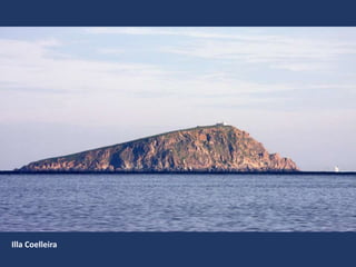 Illa Coelleira
 