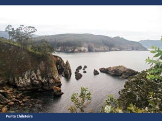 Punta Chileteira
 