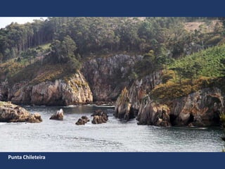 Punta Chileteira
 