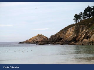 Punta Chileteira
 