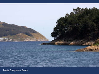 Punta Congreira e Bares
 