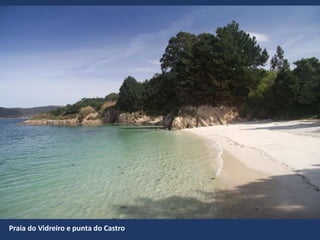Praia do Vidreiro e punta do Castro
 