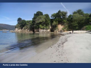 Punta e praia dos Castelos
 