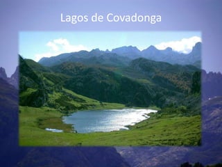 Lagos de Covadonga
 