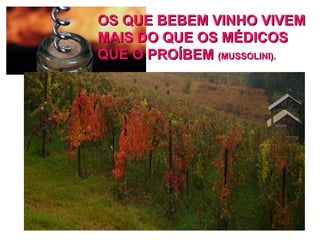 OS QUE BEBEM VINHO VIVEMOS QUE BEBEM VINHO VIVEM
MAIS DO QUE OS MÉDICOSMAIS DO QUE OS MÉDICOS
QUE O PROÍBEMQUE O PROÍBEM (MUSSOLINI).(MUSSOLINI).
 