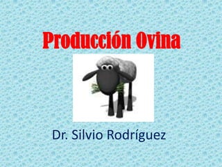 Producción Ovina

Dr. Silvio Rodríguez

 