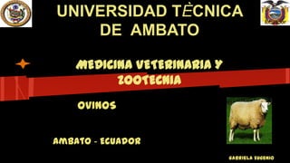 UNIVERSIDAD TÈCNICA
DE AMBATO

Ecuador

MEDICINA VETERINARIA Y
ZOOTECNIA
OVINOS
Ambato - Ecuador
Gabriela Eugenio

 