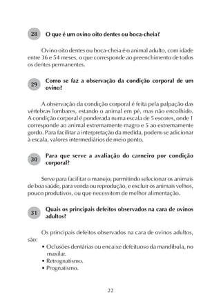 22
O que é um ovino oito dentes ou boca-cheia?
Ovino oito dentes ou boca-cheia é o animal adulto, com idade
entre 36 e 54 meses, o que corresponde ao preenchimento de todos
os dentes permanentes.
Como se faz a observação da condição corporal de um
ovino?
A observação da condição corporal é feita pela palpação das
vértebras lombares, estando o animal em pé, mas não encolhido.
A condição corporal é ponderada numa escala de 5 escores, onde 1
corresponde ao animal extremamente magro e 5 ao extremamente
gordo. Para facilitar a interpretação da medida, podem-se adicionar
à escala, valores intermediários de meio ponto.
Para que serve a avaliação do carneiro por condição
corporal?
Serve para facilitar o manejo, permitindo selecionar os animais
de boa saúde, para venda ou reprodução, e excluir os animais velhos,
pouco produtivos, ou que necessitem de melhor alimentação.
Quais os principais defeitos observados na cara de ovinos
adultos?
Os principais defeitos observados na cara de ovinos adultos,
são:
• Oclusões dentárias ou encaixe defeituoso da mandíbula, no
maxilar.
• Retrognatismo.
• Prognatismo.
28
29
30
31
 