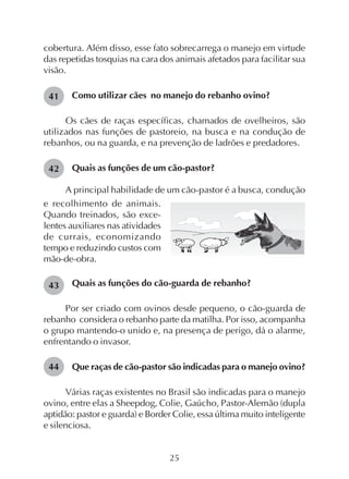 25
cobertura. Além disso, esse fato sobrecarrega o manejo em virtude
das repetidas tosquias na cara dos animais afetados para facilitar sua
visão.
Como utilizar cães no manejo do rebanho ovino?
Os cães de raças específicas, chamados de ovelheiros, são
utilizados nas funções de pastoreio, na busca e na condução de
rebanhos, ou na guarda, e na prevenção de ladrões e predadores.
Quais as funções de um cão-pastor?
A principal habilidade de um cão-pastor é a busca, condução
41
42
e recolhimento de animais.
Quando treinados, são exce-
lentes auxiliares nas atividades
de currais, economizando
tempo e reduzindo custos com
mão-de-obra.
Quais as funções do cão-guarda de rebanho?
Por ser criado com ovinos desde pequeno, o cão-guarda de
rebanho considera o rebanho parte da matilha. Por isso, acompanha
o grupo mantendo-o unido e, na presença de perigo, dá o alarme,
enfrentando o invasor.
Que raças de cão-pastor são indicadas para o manejo ovino?
Várias raças existentes no Brasil são indicadas para o manejo
ovino, entre elas a Sheepdog, Colie, Gaúcho, Pastor-Alemão (dupla
aptidão: pastor e guarda) e Border Colie, essa última muito inteligente
e silenciosa.
43
44
 