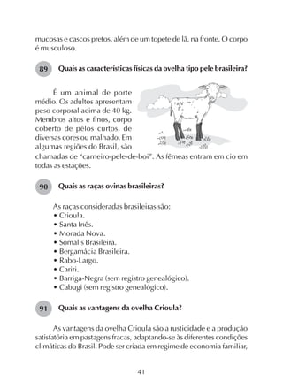 41
mucosas e cascos pretos, além de um topete de lã, na fronte. O corpo
é musculoso.
Quais as características físicas da ovelha tipo pele brasileira?
É um animal de porte
médio. Os adultos apresentam
peso corporal acima de 40 kg.
Membros altos e finos, corpo
coberto de pêlos curtos, de
diversas cores ou malhado. Em
algumas regiões do Brasil, são
chamadas de “carneiro-pele-de-boi”. As fêmeas entram em cio em
todas as estações.
Quais as raças ovinas brasileiras?
As raças consideradas brasileiras são:
• Crioula.
• Santa Inês.
• Morada Nova.
• Somalis Brasileira.
• Bergamácia Brasileira.
• Rabo-Largo.
• Cariri.
• Barriga-Negra (sem registro genealógico).
• Cabugi (sem registro genealógico).
Quais as vantagens da ovelha Crioula?
As vantagens da ovelha Crioula são a rusticidade e a produção
satisfatória em pastagens fracas, adaptando-se às diferentes condições
climáticas do Brasil. Pode ser criada em regime de economia familiar,
89
90
91
 
