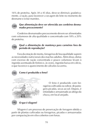70
16% de proteína. Após 30 a 45 dias, deve-se diminuir, gradativa-
mente, a ração, para favorecer a secagem do leite no momento do
desmame e evitar mamites.
Que alimentação deve ser oferecida aos cordeiros desma-
mados precocemente?
Cordeiros desmamados precocemente devem ser alimentados
com volumosos de alta qualidade e concentrado com 18% a 20%
de proteína.
Qual a alimentação de mantença para carneiros fora do
período de reprodução?
Fora da estação de monta, forrageiras de boa qualidade suprem
as necessidades nutricionais dos machos adultos. Além disso, dietas
com excesso de ração concentrada e pouco volumoso levam à
ingestão acentuada de fósforo e, às vezes, ingestão baixa em cálcio,
o que favorece o aparecimento de cálculos na uretra.
Como é produzido o feno?
189
190
191
O feno é produzido com for-
rageiras cultivadas ou sobras de pasta-
gens picadas, secas ao sol. Depois, é
enfardado e armazenado ao abrigo da
chuva, em local arejado.
O que é silagem?
Silagem é um processo de preservação de forragem obtida a
partir de plantas cultivadas ou forrageiras, picadas e armazenadas
por compactação em silos cobertos com lonas.
192
 