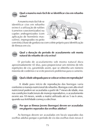 75
Qual a maneira mais fácil de se identificar cios em rebanho
ovino?
198
A maneira mais fácil de se
identificar cios em rebanho
ovino é a utilização de rufiões
(carneiros vasectomizados) ou
capões androgenizados (com
aplicação de hormônio mas-
culino), impregnados no peito
com tinta à base de gordura ou com colete próprio para identificação
de fêmeas em cio.
Qual a duração do período de acasalamento sob monta
natural do rebanho de cria ovina?
O período de acasalamento sob monta natural dura
aproximadamente 42 dias, para proporcionar um mínimo de três
repetições de cio, garantindo assim, que se obtenha um número
máximo de cordeiros e se evite possíveis problemas para o carneiro.
Qualaidadeadequadaparasecolocarovinosemreprodução?
A idade para início de reprodução das borregas varia
conforme o manejo nutricional do rebanho. Borregas com alto nível
nutricional podem ser acasaladas a partir de 7 meses de idade, mas
nas condições tradicionais de manejo reprodutivo, o acasalamento
ocorre aos 18 meses, sendo a matriz utilizada até os 5 ou 6 anos,
quando sua fertilidade começa a declinar.
Por que as fêmeas jovens (borregas) devem ser acasaladas
em piquetes separados das ovelhas adultas?
As borregas devem ser acasaladas em locais separados das
ovelhas adultas porque o período de cio das ovelhas mais novas é
199
200
201
 