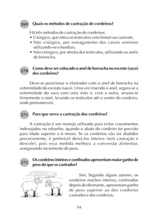 94
Quais os métodos de castração de cordeiros?
Há três métodos de castração de cordeiros:
• Cirúrgico, que retira os testículos com bisturi ou canivete.
• Não cirúrgico, por esmagamento dos canais seminais
utilizando-se o burdizo.
• Não cirúrgico, por atrofia dos testículos, utilizando-se anéis
de borracha.
Como deve ser colocado o anel de borracha no escroto (saco)
dos cordeiros?
Deve-se posicionar o elastrador com o anel de borracha na
extremidade do escroto (saco). Uma vez inserido o anel, segura-se a
extremidade do saco com uma mão e, com a outra, arrasta-se
firmemente o anel, levando os testículos até o ventre do cordeiro,
onde permanecem.
Para que serve a castração dos cordeiros?
A castração é um manejo utilizado para evitar cruzamentos
indesejados no rebanho, quando o abate do cordeiro for previsto
para idade superior a 6 meses. Se os cordeiros vão ser abatidos
precocemente, é preferível deixá-los inteiros (sem castração e
descole), pois essa medida melhora a conversão alimentar,
assegurando incremento de peso.
Os cordeiros inteiros e confinados apresentam maior ganho de
peso do que os castrados?
270
Sim. Segundo alguns autores, os
cordeiros machos inteiros, confinados
depois do desmame, apresentam ganho
de peso superior ao dos cordeiros
castrados e das cordeiras.
271
272
269
 