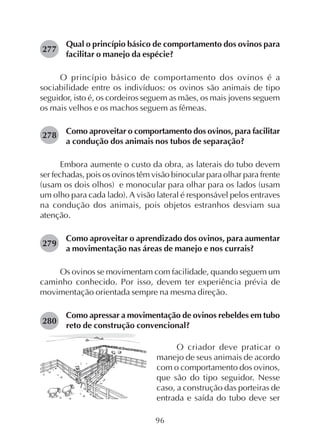 96
Qual o princípio básico de comportamento dos ovinos para
facilitar o manejo da espécie?
O princípio básico de comportamento dos ovinos é a
sociabilidade entre os indivíduos: os ovinos são animais de tipo
seguidor, isto é, os cordeiros seguem as mães, os mais jovens seguem
os mais velhos e os machos seguem as fêmeas.
Como aproveitar o comportamento dos ovinos, para facilitar
a condução dos animais nos tubos de separação?
Embora aumente o custo da obra, as laterais do tubo devem
ser fechadas, pois os ovinos têm visão binocular para olhar para frente
(usam os dois olhos) e monocular para olhar para os lados (usam
um olho para cada lado). A visão lateral é responsável pelos entraves
na condução dos animais, pois objetos estranhos desviam sua
atenção.
Como aproveitar o aprendizado dos ovinos, para aumentar
a movimentação nas áreas de manejo e nos currais?
Os ovinos se movimentam com facilidade, quando seguem um
caminho conhecido. Por isso, devem ter experiência prévia de
movimentação orientada sempre na mesma direção.
Como apressar a movimentação de ovinos rebeldes em tubo
reto de construção convencional?
277
278
279
280
O criador deve praticar o
manejo de seus animais de acordo
com o comportamento dos ovinos,
que são do tipo seguidor. Nesse
caso, a construção das porteiras de
entrada e saída do tubo deve ser
 