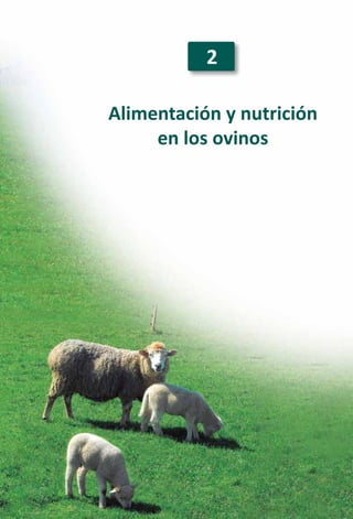 23
Alimentación y nutrición
en los ovinos
2
 