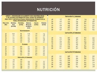 NUTRICIÓN
 