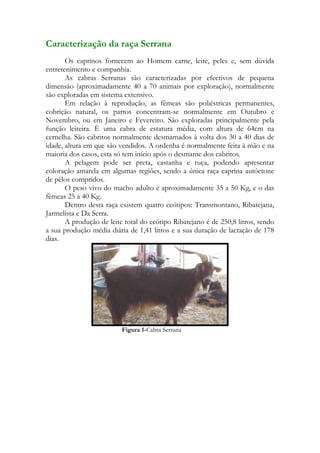 Caracterização da raça Serrana
       Os caprinos fornecem ao Homem carne, leite, peles e, sem dúvida
entretenimento e companhia.
       As cabras Serranas são caracterizadas por efectivos de pequena
dimensão (aproximadamente 40 a 70 animais por exploração), normalmente
são exploradas em sistema extensivo.
       Em relação à reprodução, as fêmeas são poliéstricas permanentes,
cobrição natural, os partos concentram-se normalmente em Outubro e
Novembro, ou em Janeiro e Fevereiro. São exploradas principalmente pela
função leiteira. È uma cabra de estatura média, com altura de 64cm na
cernelha. São cabritos normalmente desmamados à volta dos 30 a 40 dias de
idade, altura em que são vendidos. A ordenha é normalmente feita à mão e na
maioria dos casos, esta só tem início após o desmame dos cabritos.
       A pelagem pode ser preta, castanha e ruça, podendo apresentar
coloração amarela em algumas regiões, sendo a única raça caprina autóctone
de pêlos compridos.
       O peso vivo do macho adulto é aproximadamente 35 a 50 Kg, e o das
fêmeas 25 a 40 Kg.
       Dentro desta raça existem quatro ecótipos: Transmontano, Ribatejana,
Jarmelista e Da Serra.
       A produção de leite total do ecótipo Ribatejano é de 250,8 litros, sendo
a sua produção média diária de 1,41 litros e a sua duração de lactação de 178
dias.




                          Figura 1-Cabra Serrana
 