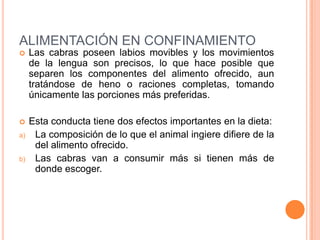 ALIMENTACIÓN EN CONFINAMIENTO
    Las cabras poseen labios movibles y los movimientos
     de la lengua son precisos, lo que hace posible que
     separen los componentes del alimento ofrecido, aun
     tratándose de heno o raciones completas, tomando
     únicamente las porciones más preferidas.

    Esta conducta tiene dos efectos importantes en la dieta:
a)    La composición de lo que el animal ingiere difiere de la
      del alimento ofrecido.
b)    Las cabras van a consumir más si tienen más de
      donde escoger.
 
