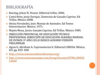 BIBLIOGRAFÍA
   Koeslag, Johan H. Ovinos. Editorial trillas. 2006.
   Cantú Brito, Jesús Enrique. Zootecnia de Ganado Caprino. Ed
    Trillas. México 2008.
   Oteiza Fernández, José. Manejo de Animales. Ed Textos
    Universitarios. México, 1971.
   Mayén Mena, Javier. Ganado Caprino. Ed Trillas. México 1989.
   DIRECCIÓN PROVINCIAL DE EDUCACIÓN TÉCNICO
    PROFESIONAL DIRECCIÓN DE EDUCACIÓN AGRARIA MANUAL
    DE OVINOS 3º AÑO CICLO BÁSICO AGRARIO VERSIÓN
    PRELIMINAR
   Agraz G, Abraham A. Capronotecnia II. Editorial LIMUSA. México,
    D.F. pp. 829- 838
   http://www.asmexcriadoresdeovinos.org/
   http://www.zoetecnocampo.com/forog/Forum6/HTML/00026
    5.html
 